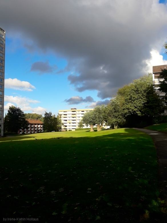 1_20190903_173153